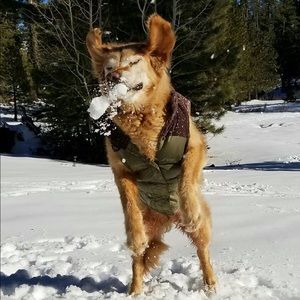 Meet your Posher, Grace